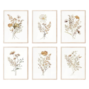 Set of 6 Botanical art prints