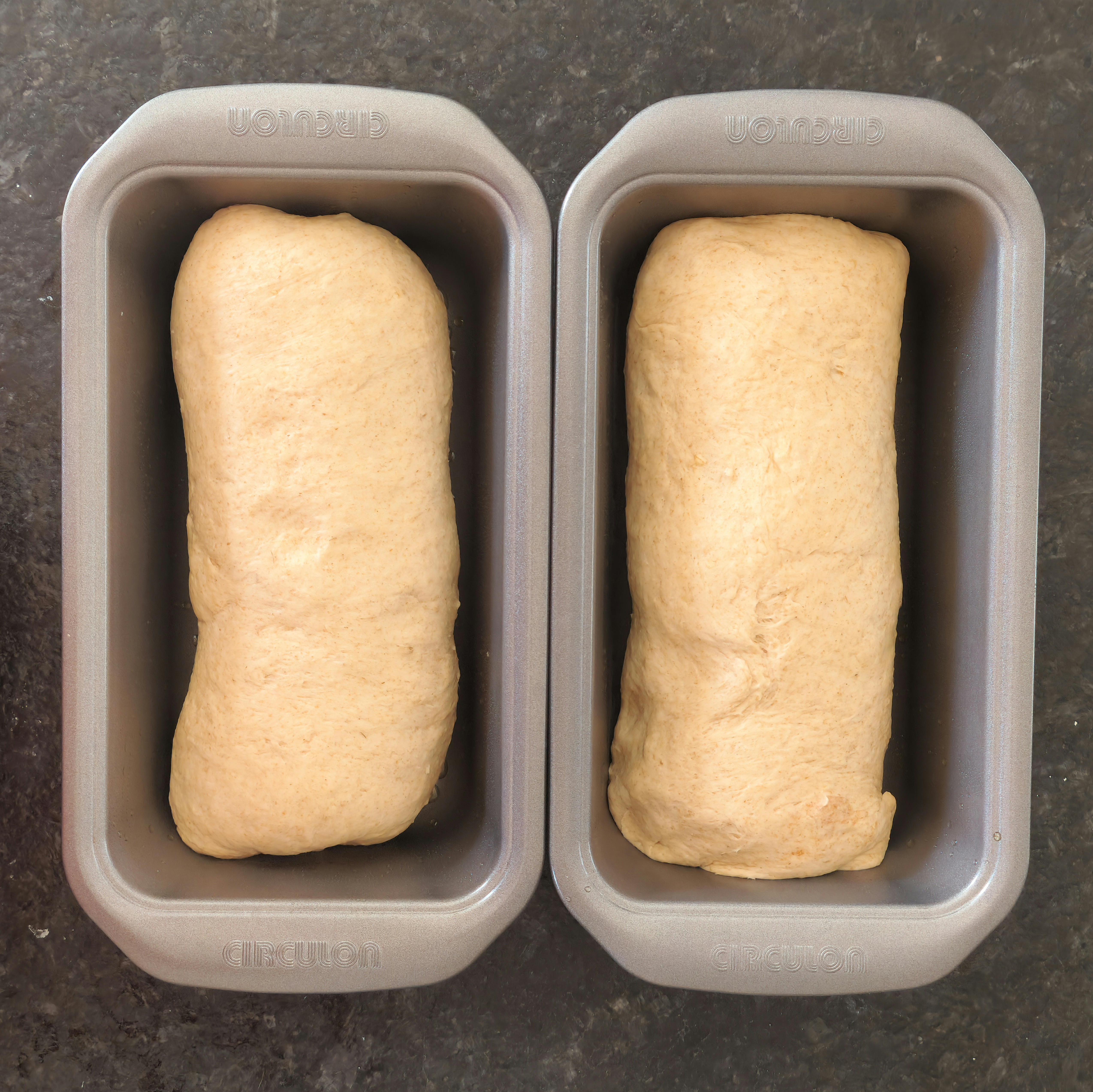 Oatmeal honey wheat bread dough shaped into loaves