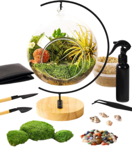 DIY terrarium kit, indoor gardening gifts, eco-friendly crafts, botanical hobby ideas