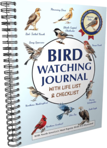 bird watching gifts, outdoor hobbies, mindful nature activities, journaling for adults